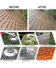 Steel wire brush cutter for weeds