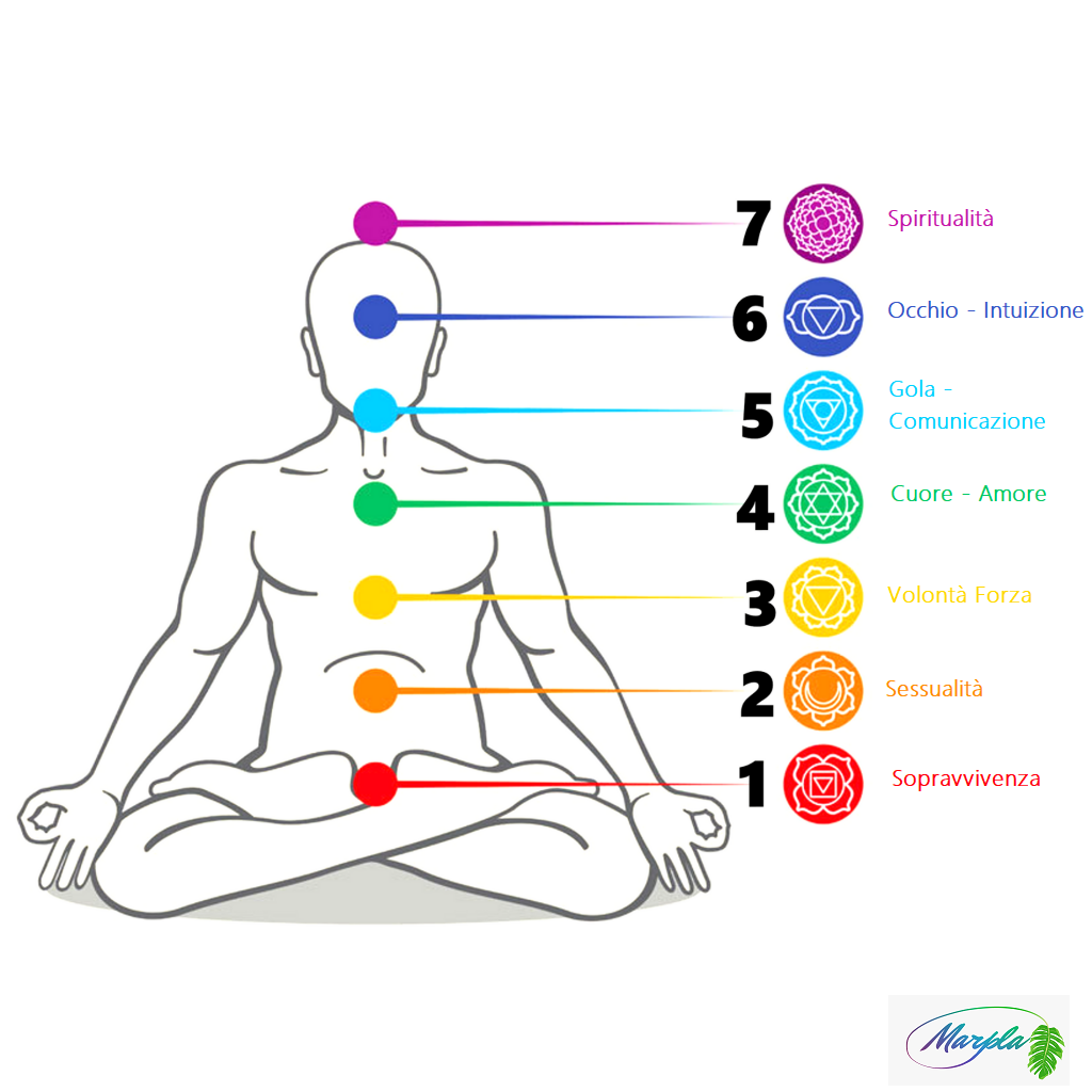7 Chakra - MArpla